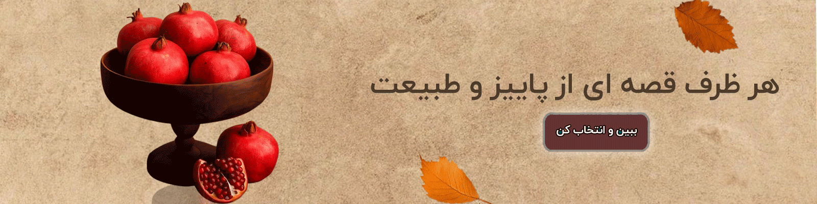 دکوراتیو
